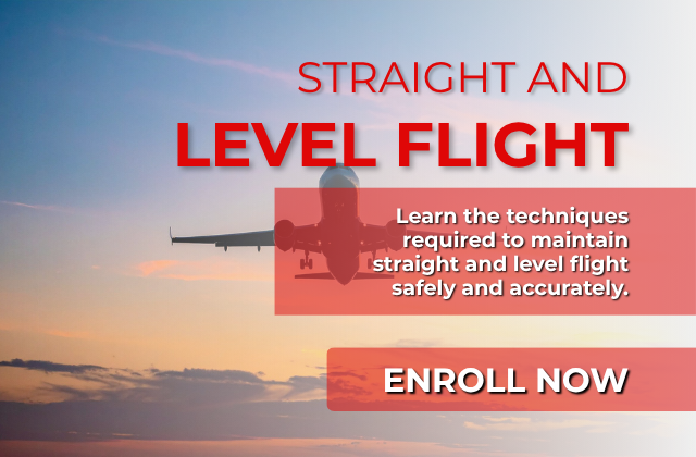 Straight and Level Flight