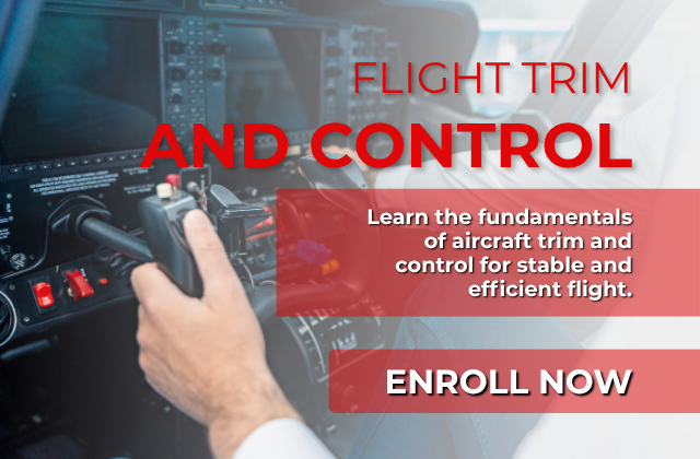 Flight Trim and Control